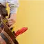 Handyman repair service in Wilmington, NC for home fixes and improvements